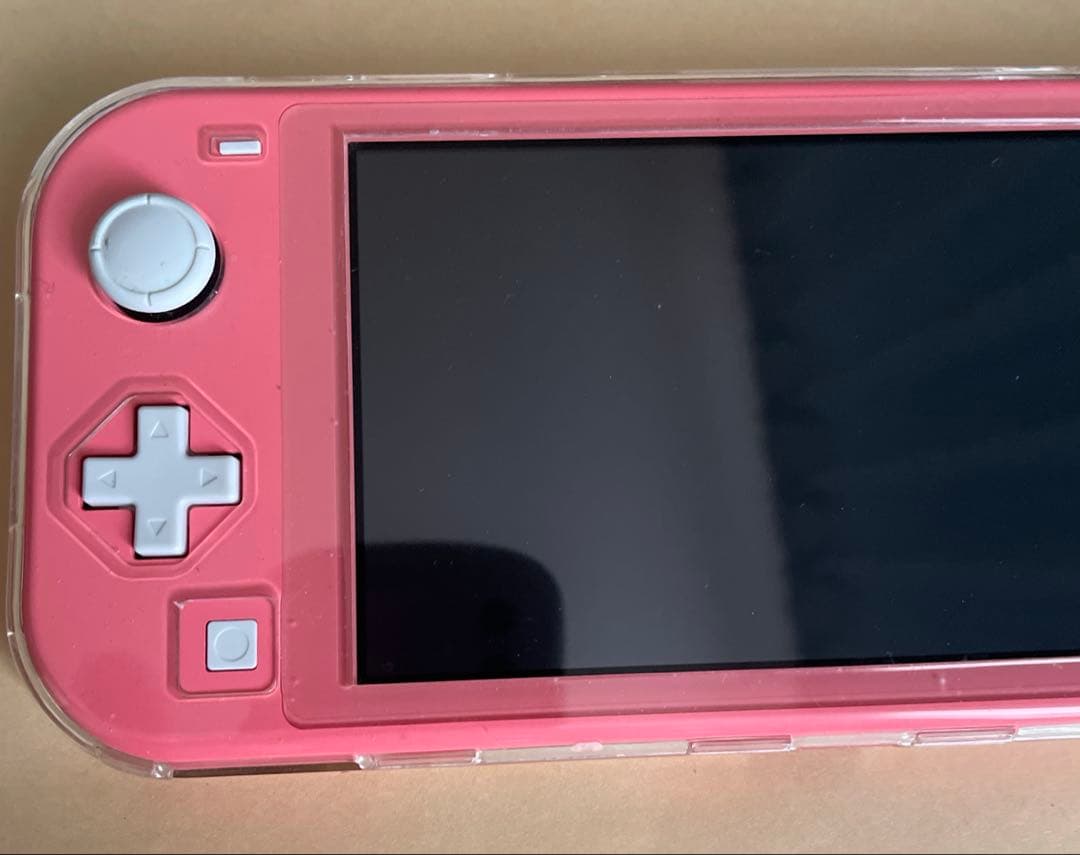 Nintendo Switch Lite ACアダプターなしケース付き