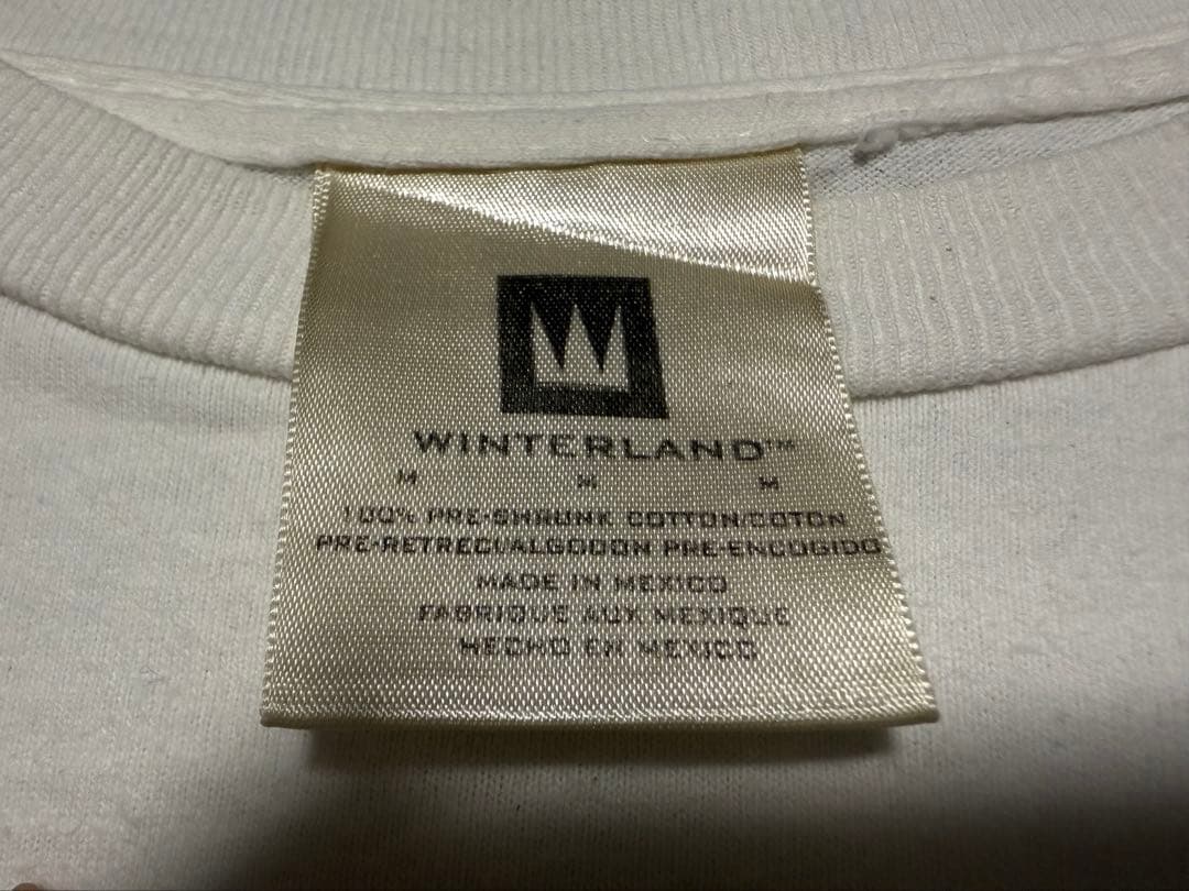 バックストリートボーイズ ミレニアム Tシャツ M