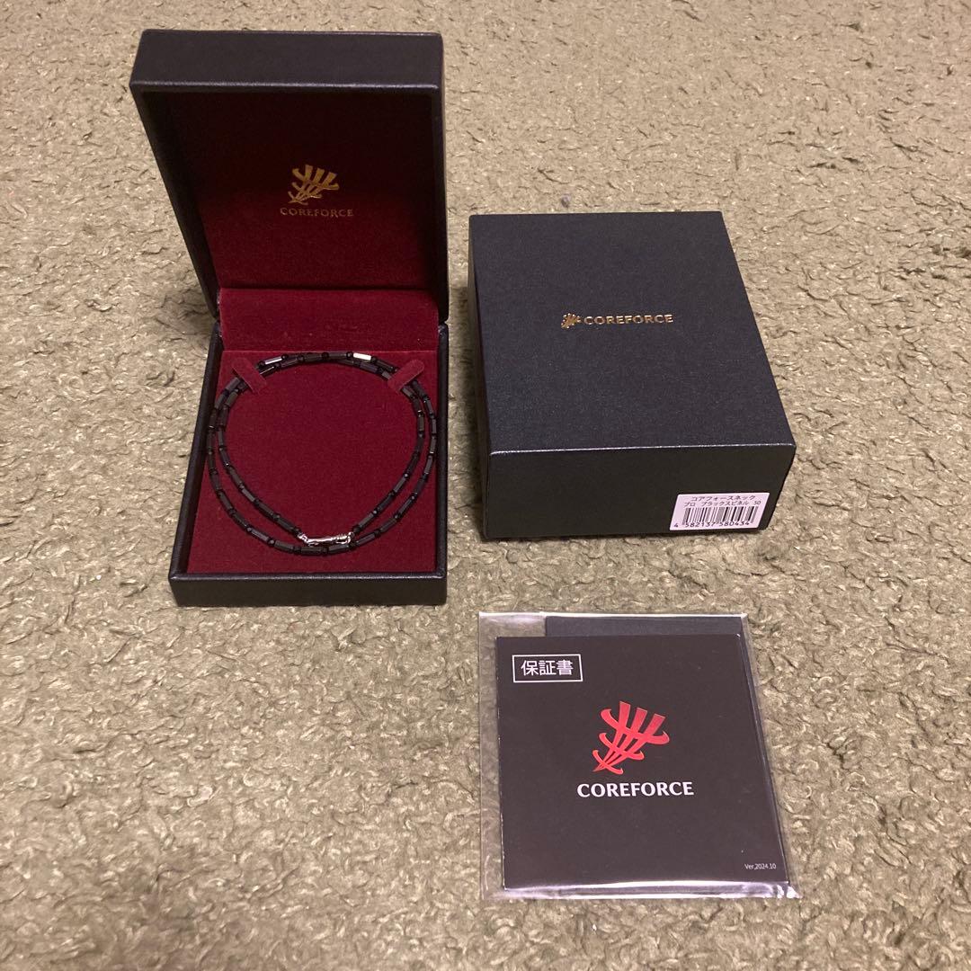 T*A様 激安　特価 値下　限界COREFORCE ブラック ネックレス