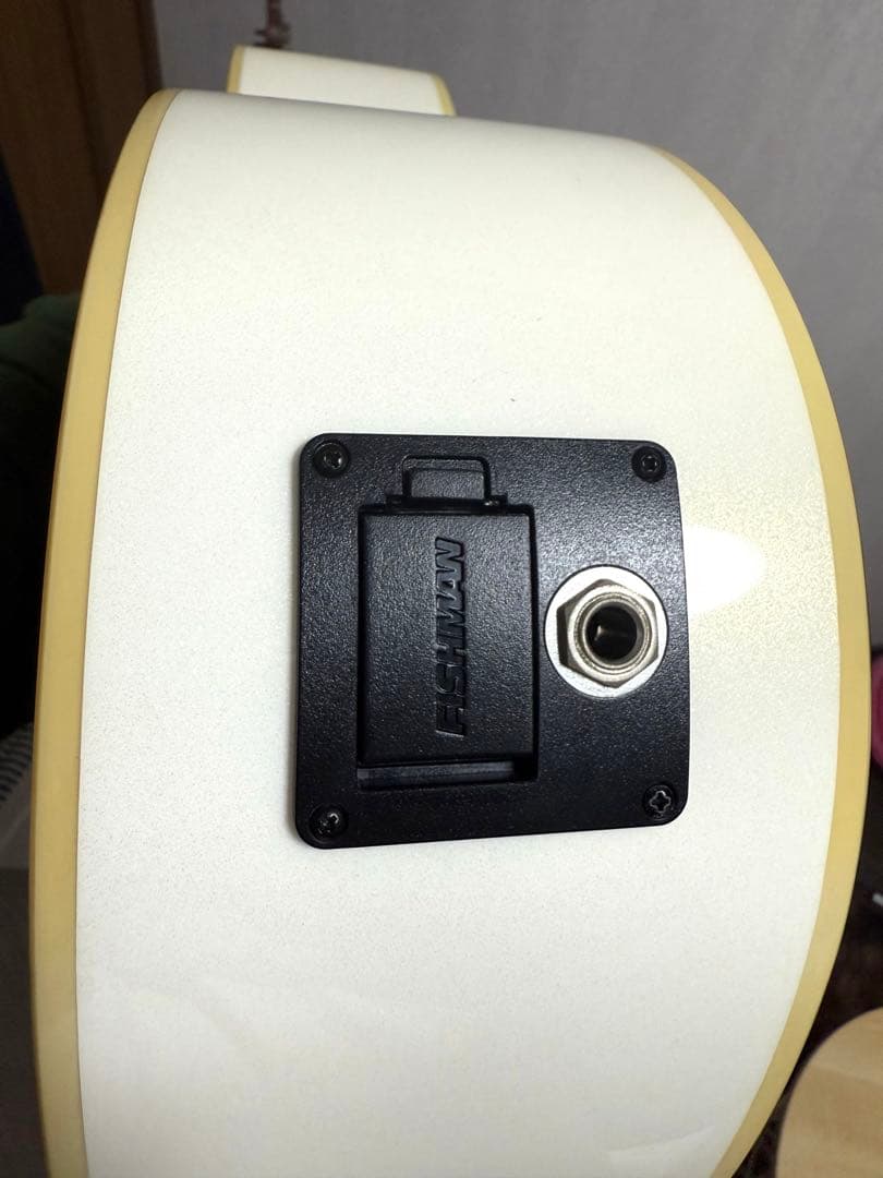 【美品✨】FENDER MALIBU PLAYER エレアコ