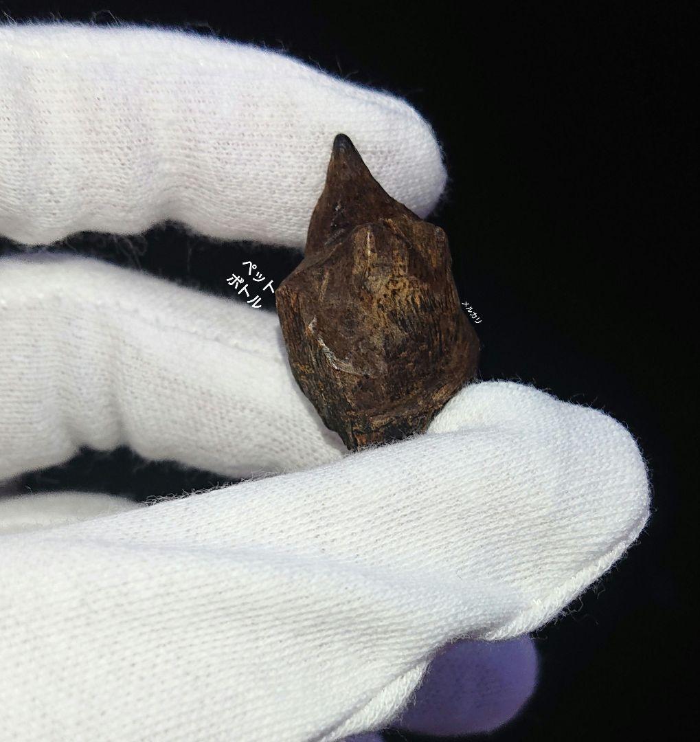 ベトナム フエ産 伽羅 奇楠 沈水2.7g