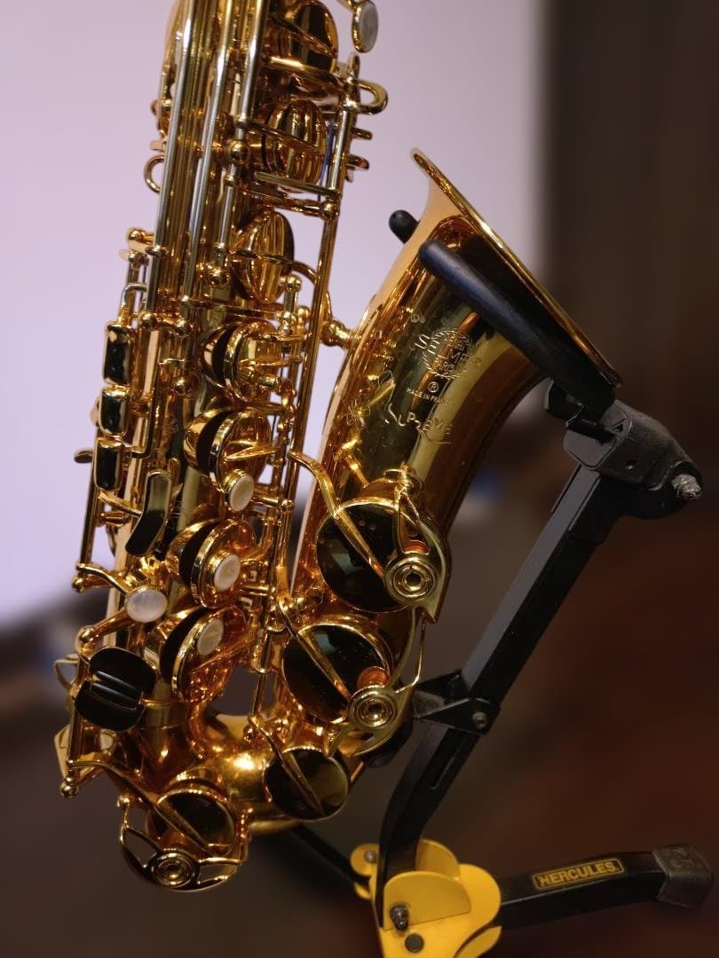 セルマー(Selmer)シュプレームアルトDARK GL(伊東たけし)選定品