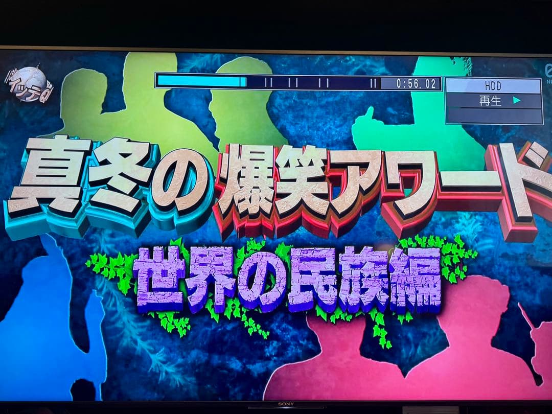 Panasonic ブルーレイレコーダー DMR-BRW1000