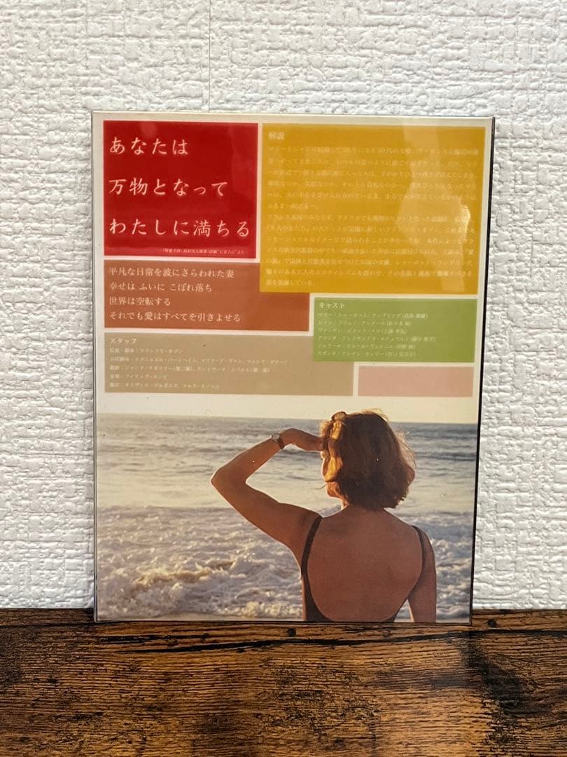 OZONBOX フランソワ・オゾン DVD-BOX 初回限定盤　まぼろし付