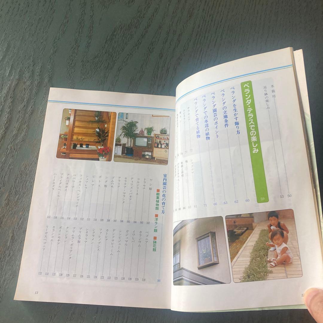 鹿児島の室内園芸 新しい園芸の楽しみ方 (鹿児島の園芸百科シリーズ) 瀬戸正徳