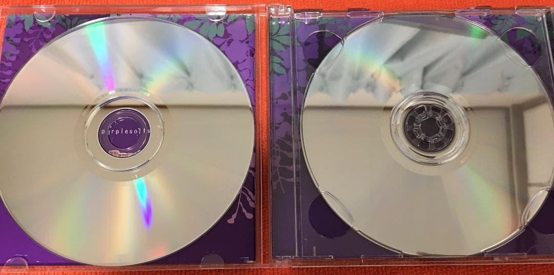 PurpleSoftware 紫盤2017