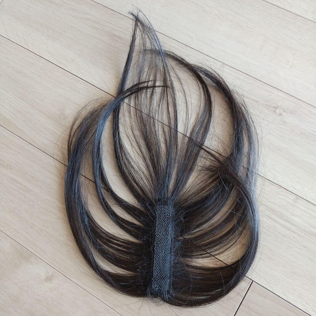 バジル　チャチャ　ロングダークブラウン