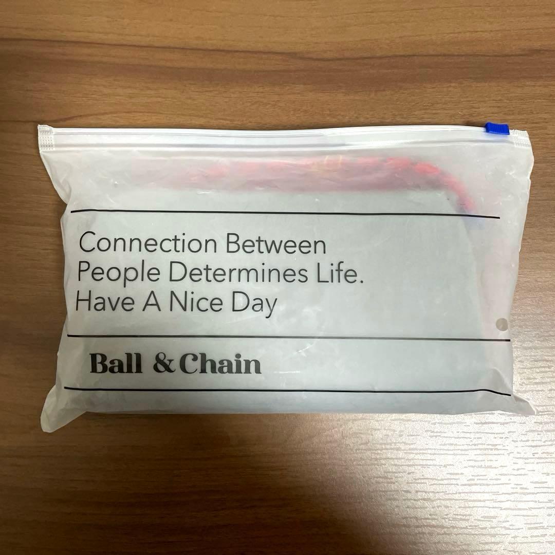 【新品未使用】FEILERフェイラー×ボールアンドチェーン ハイジ バッグ L