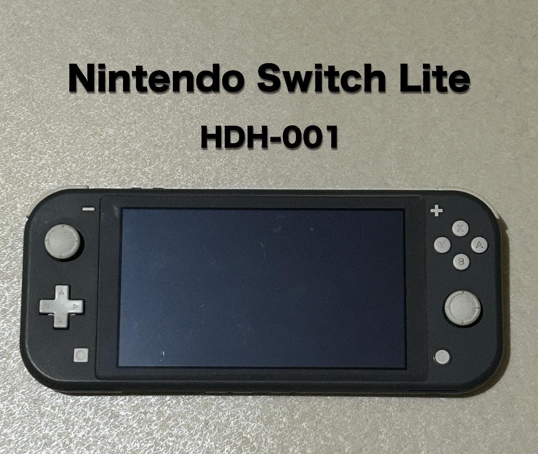 Nintendo Switch Lite HDH-001（ジャンク）