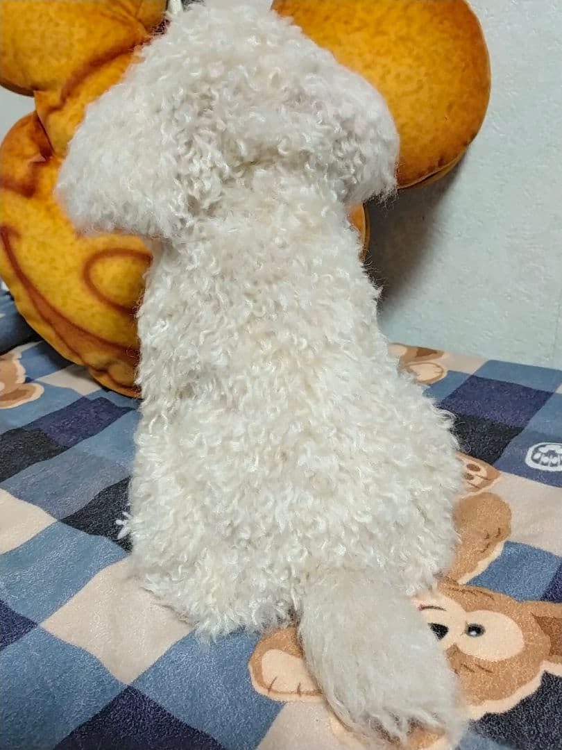 Tigerlsjオーダーベージ。20センチサイズ