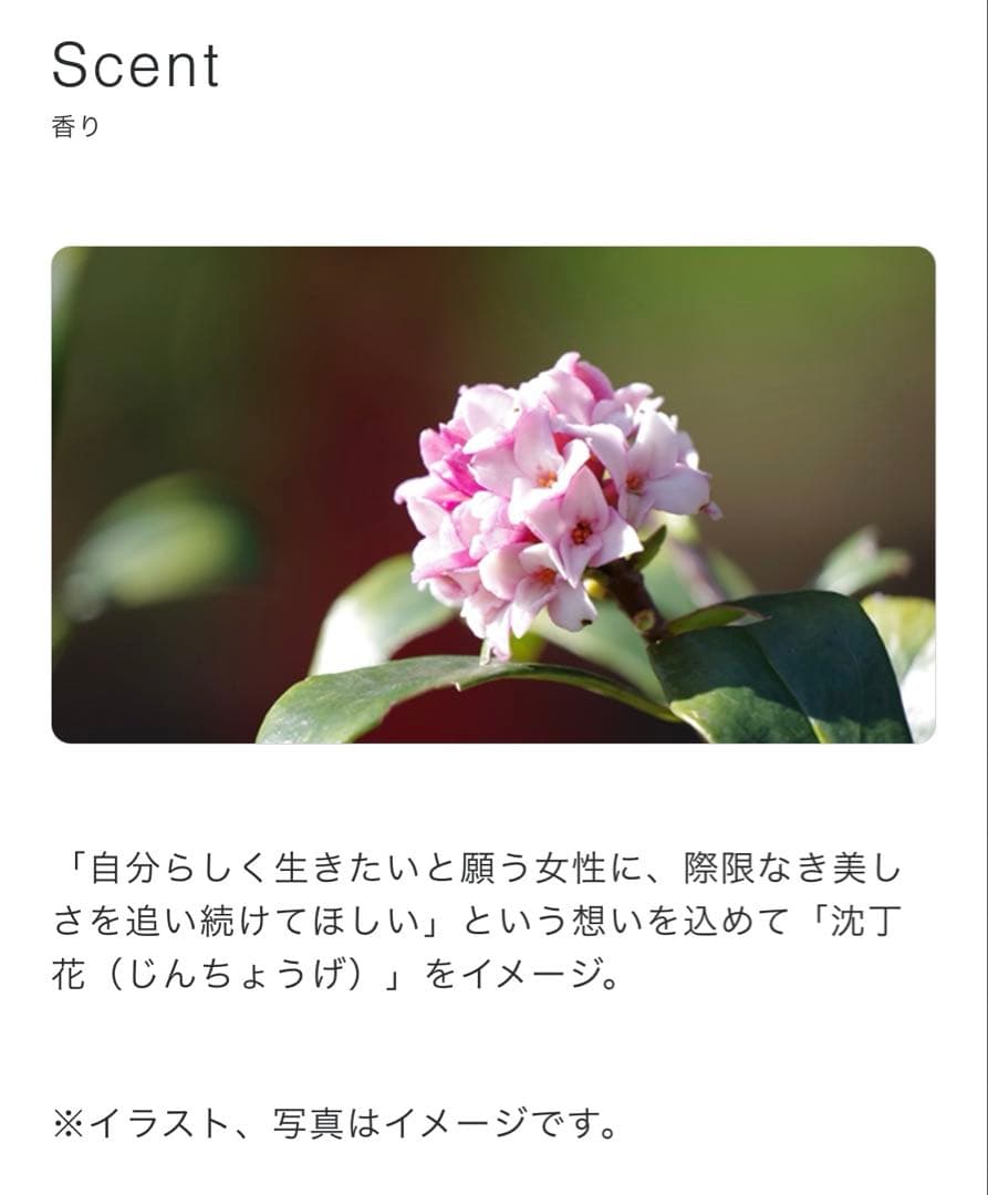 Aujuaプレセディア インテンシブパーフェクター180ml 詰め替え用