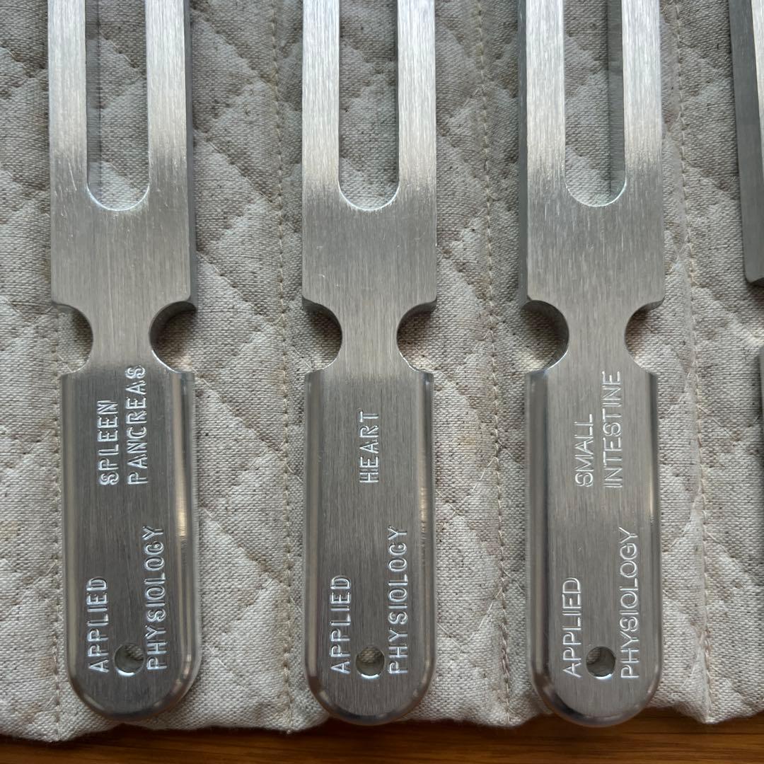 アプライドキネシオロジー　音叉