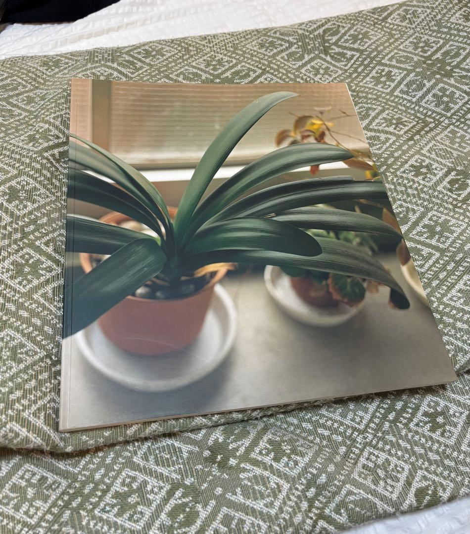 生きている 佐内正史