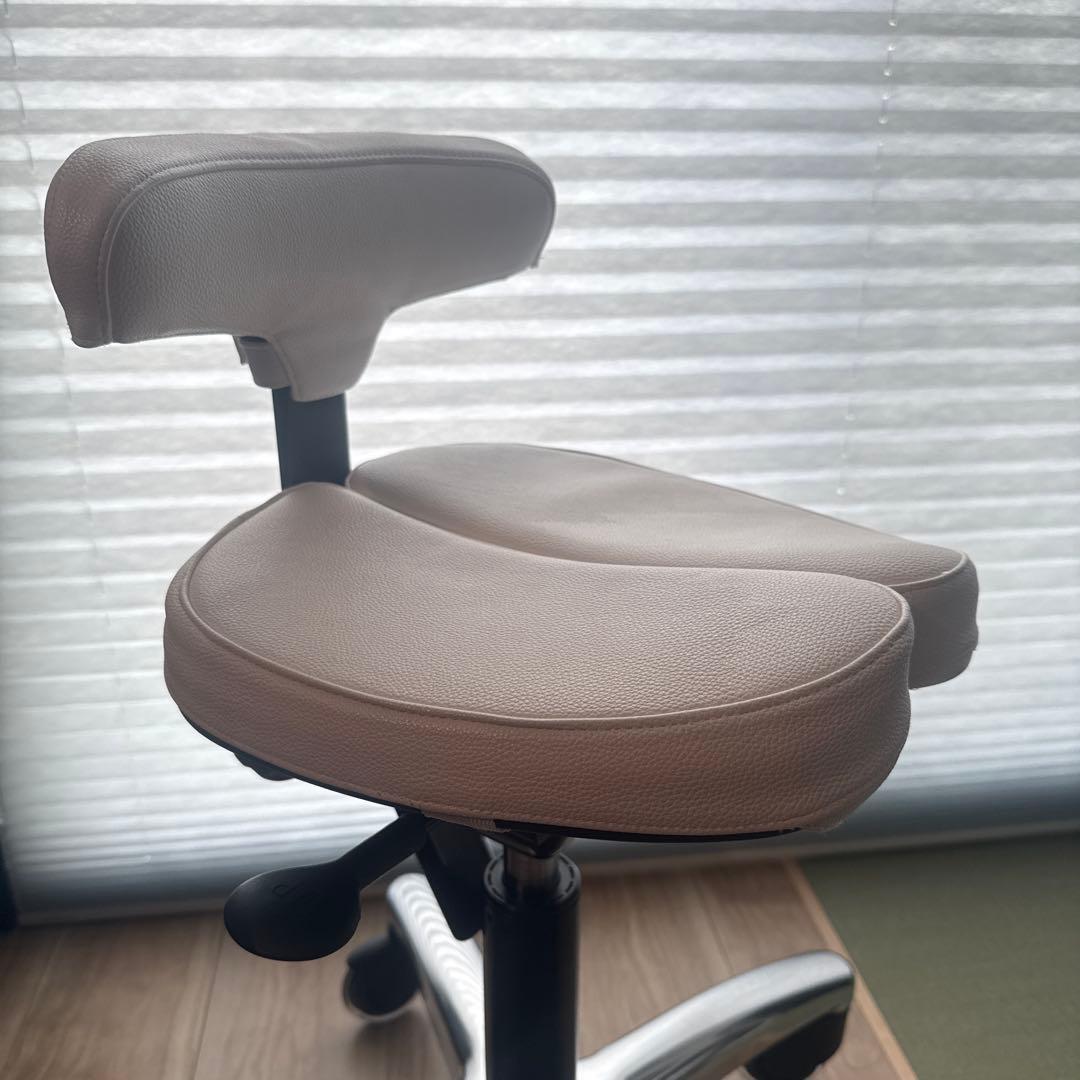 【美品】アーユル・チェアー プレミアムモデル 別売ホワイトカバー 脚パーツ付