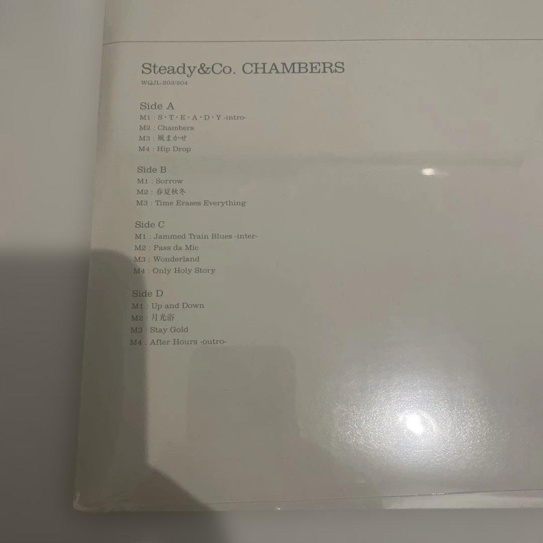 新品 Steady & Co. CHAMBERS LPレコードドラゴンアッシュ