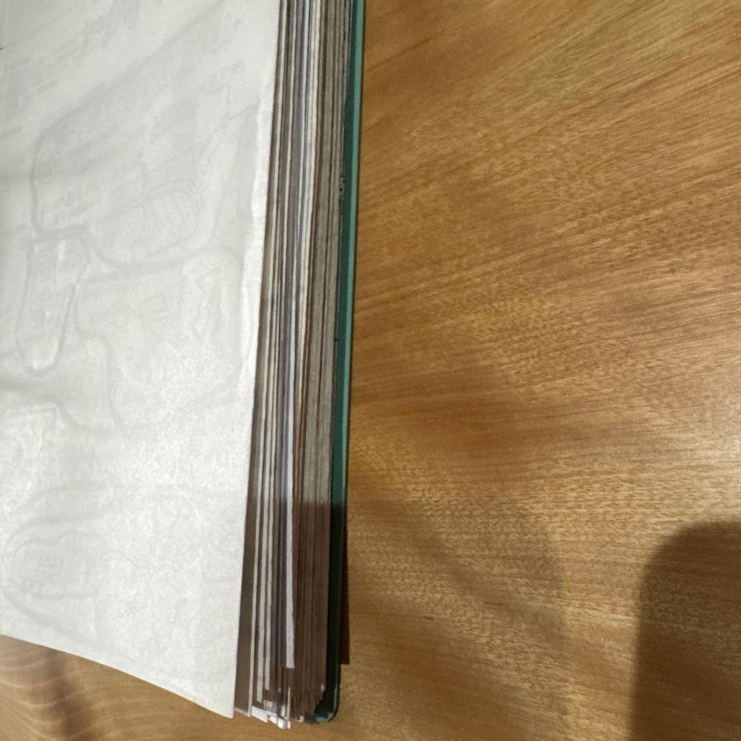 【岡田了一郎先生】駿台『地理　オリジナルプリント』 49枚　MSクラス