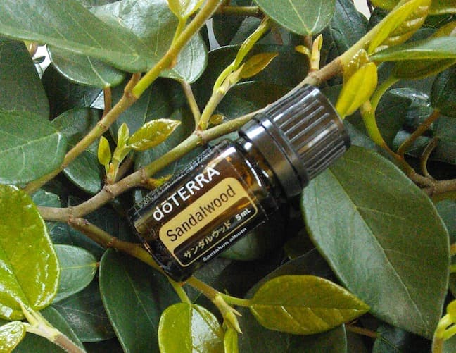 【❗️新品 未開封 最安】ドテラ サンダルウッド 日本表記 5ml 期28.3