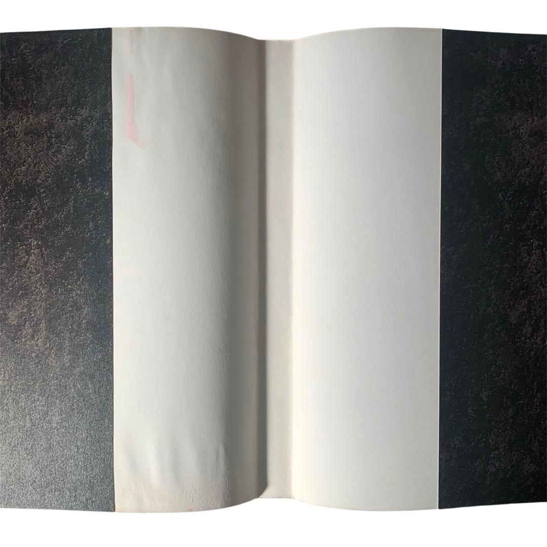 Santa Lilio Sangre緋いユリ : 小島文美画集