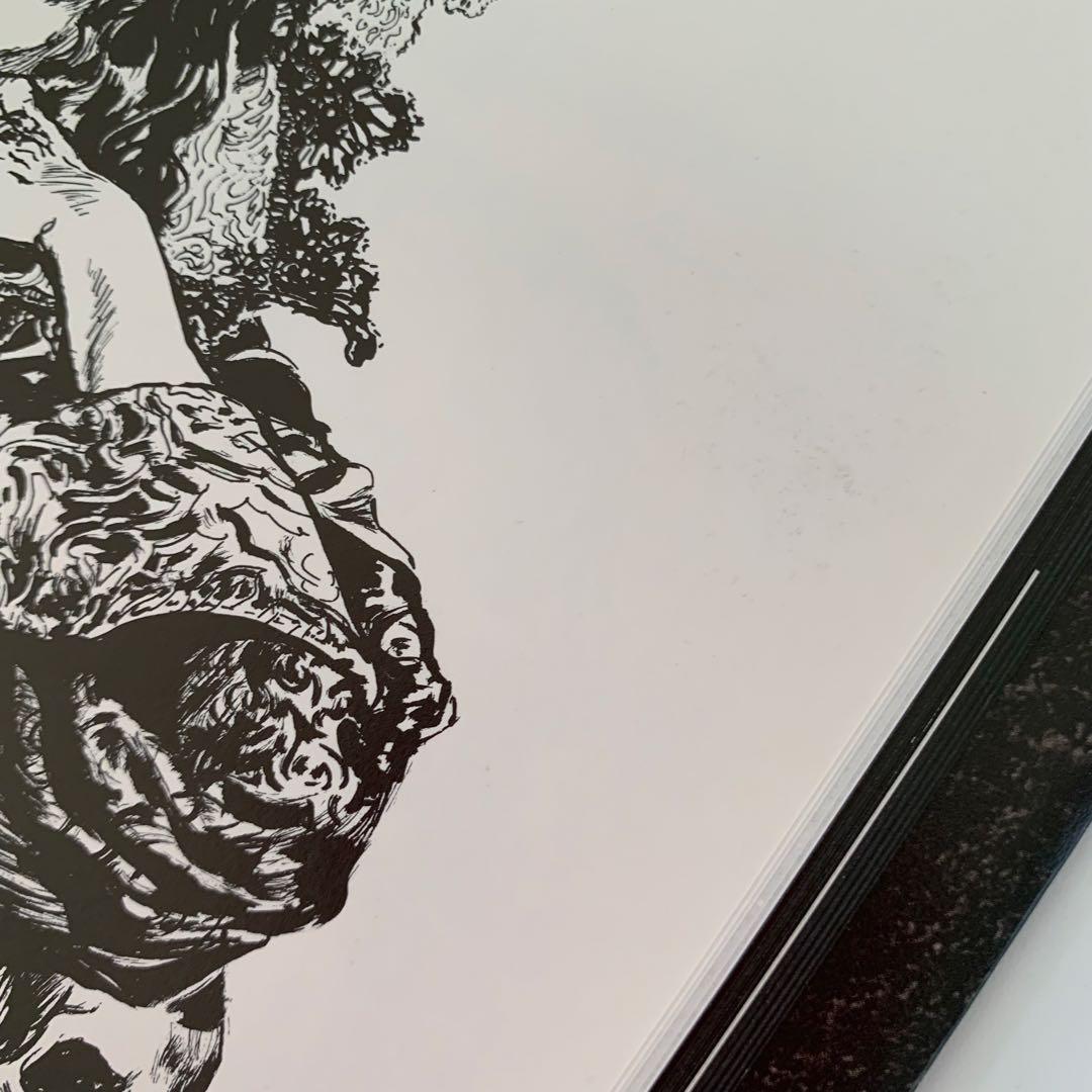 Santa Lilio Sangre緋いユリ : 小島文美画集