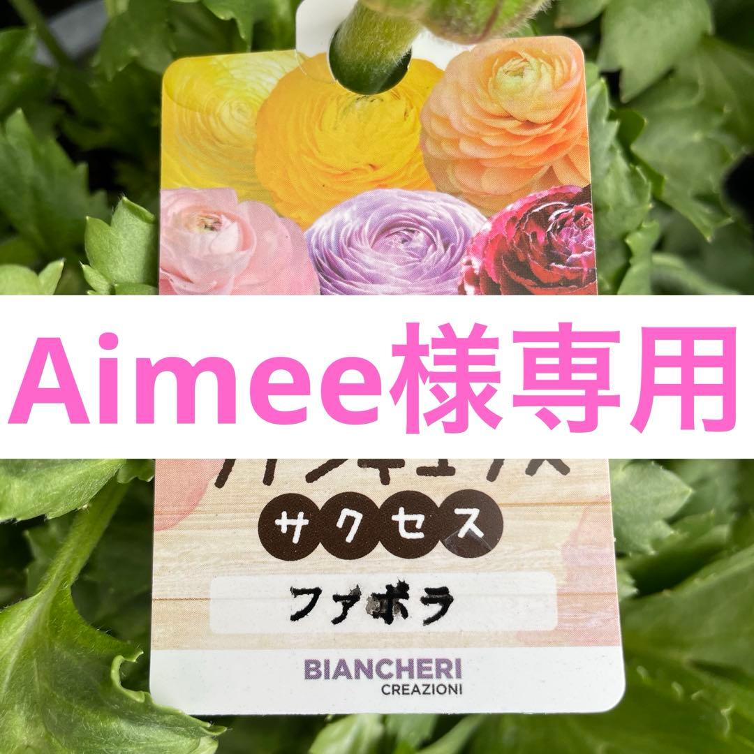 花 Aimee