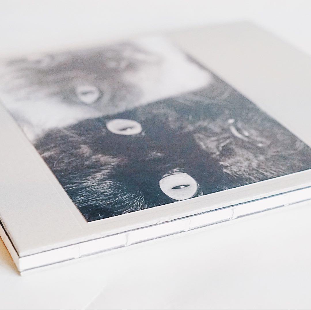 Wonderful Days（Special Edition）/ 深瀬昌久