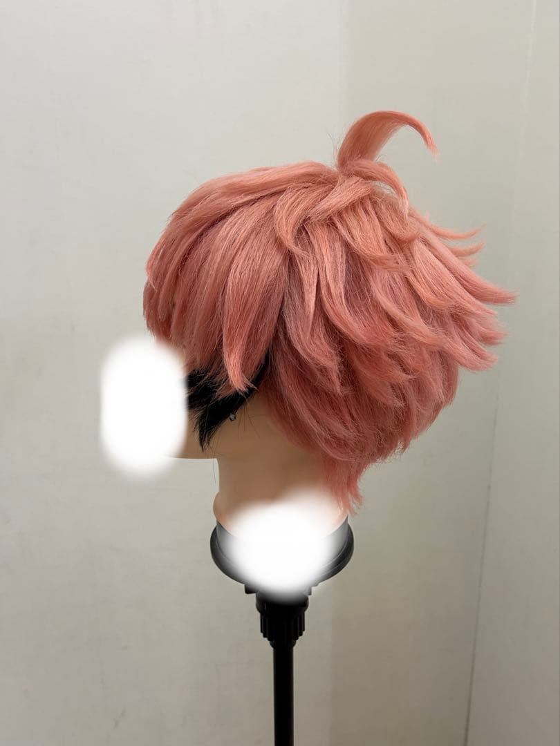 赤城ウェン/ウィッグ