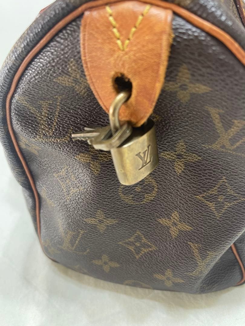 Louis Vuitton ハンドバッグ ダークブラウン