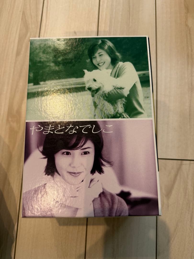 【さえさま専用】やまとなでしこ DVD ボックスセット