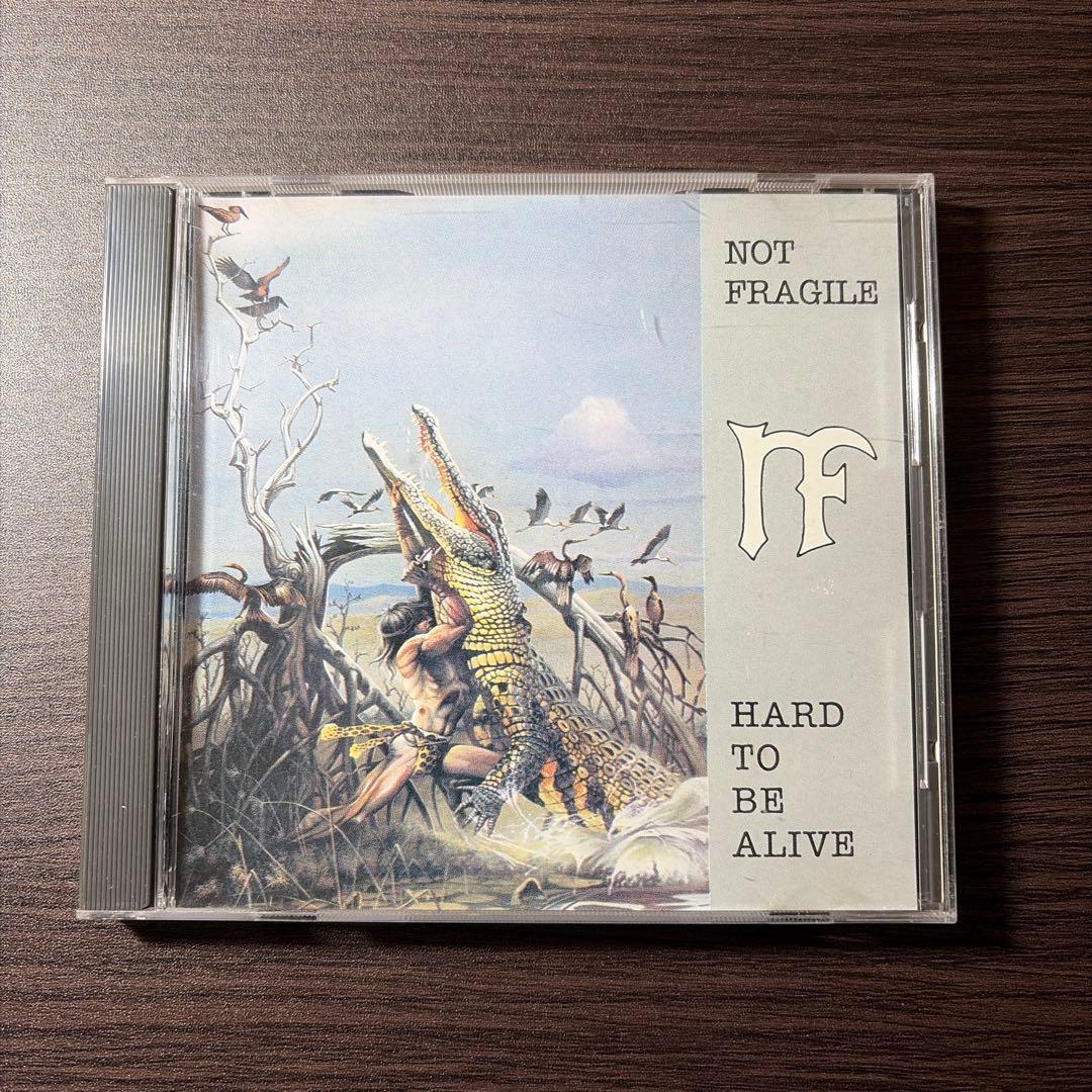 洋楽 Not fragile/ hard to be alive