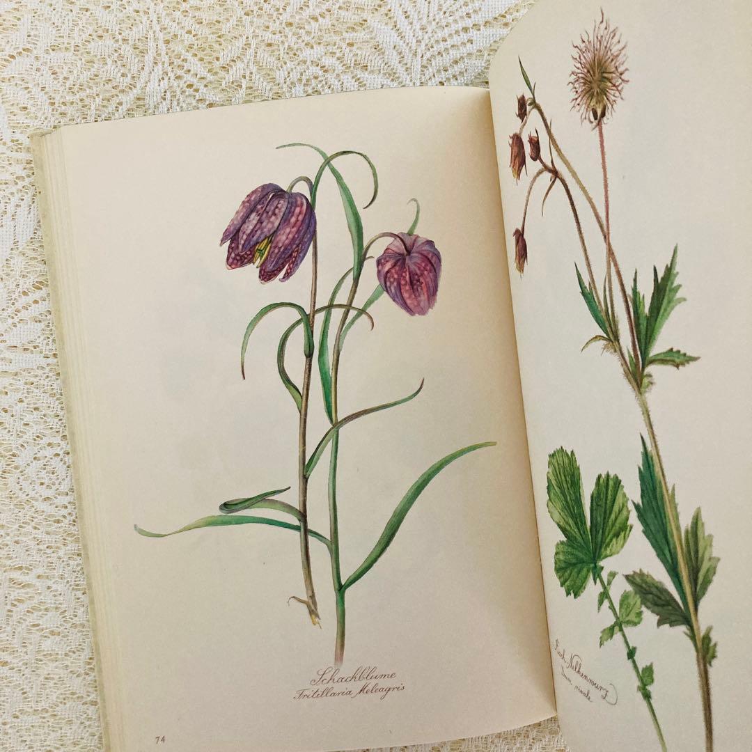 希少　ヴィンテージ植物図鑑2巻セット　繊細で美しい植物画300点　洋書・古書