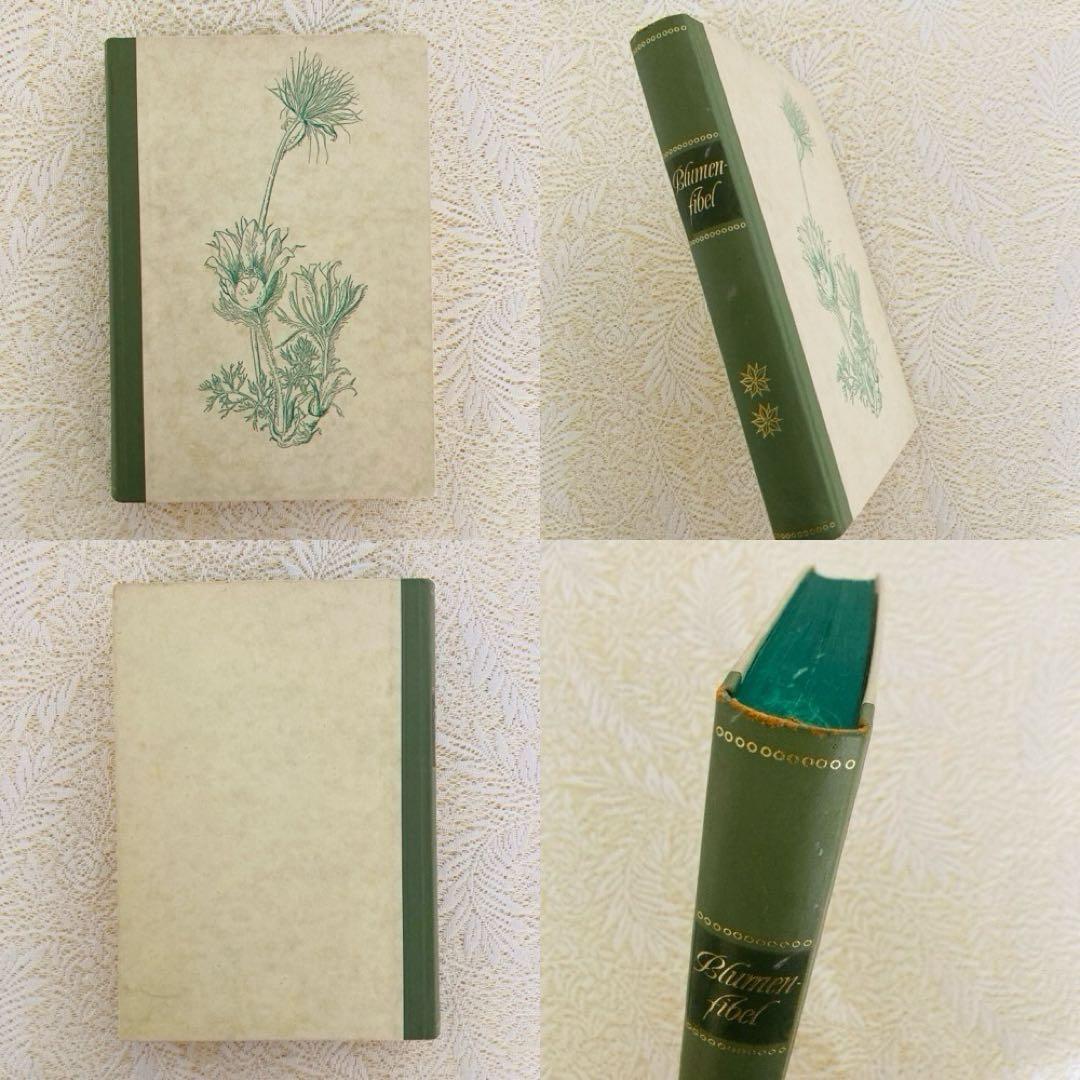 希少　ヴィンテージ植物図鑑2巻セット　繊細で美しい植物画300点　洋書・古書