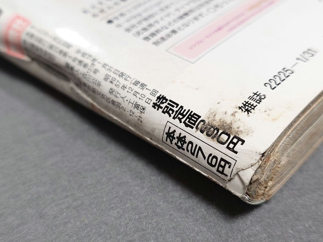 モーニング2006年1月31日7号/バガボンド#199 小次郎と又八/井上雄彦