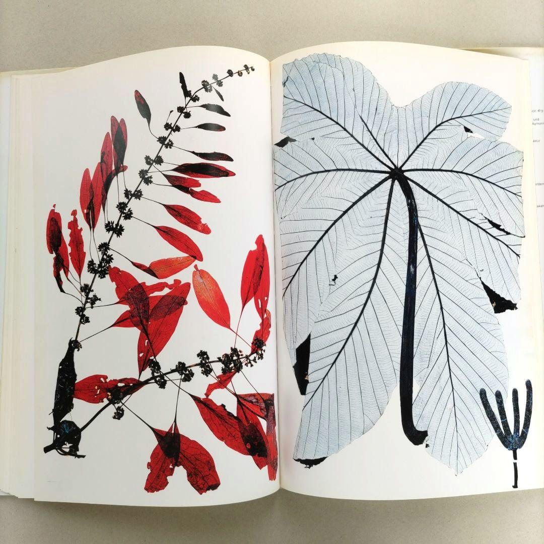 FLORA:Nick Knight/ニック・ナイト 写真集 植物標本 アート