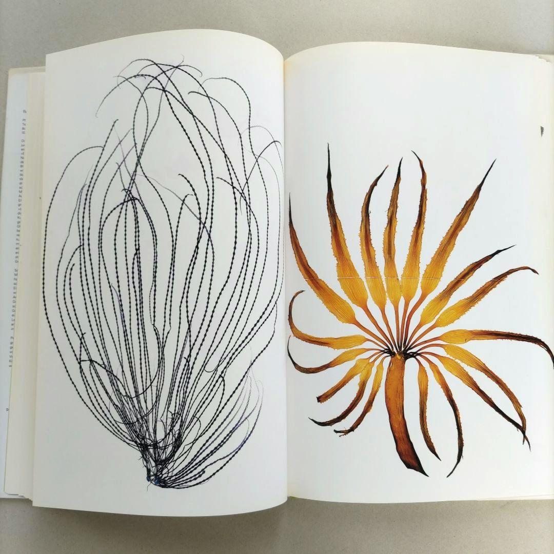 FLORA:Nick Knight/ニック・ナイト 写真集 植物標本 アート