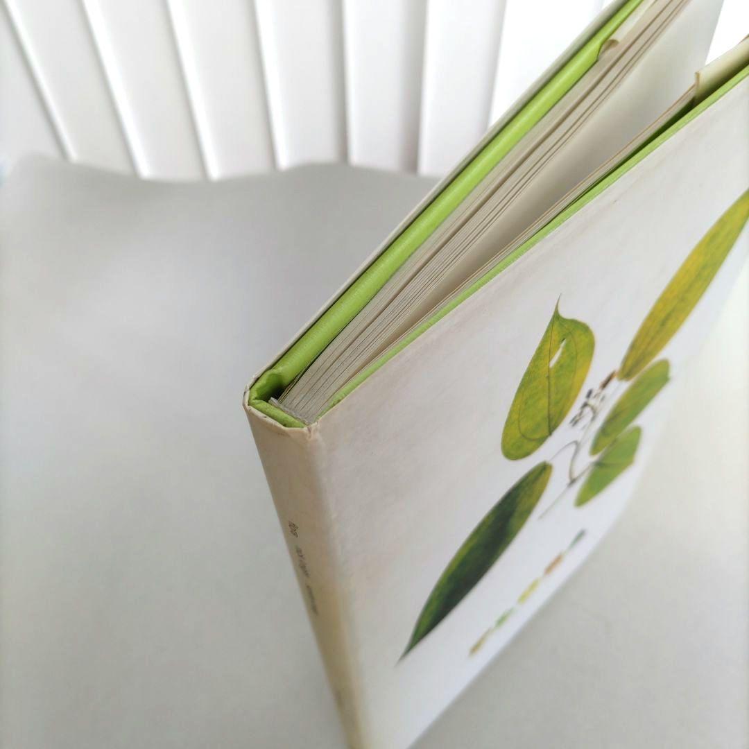 FLORA:Nick Knight/ニック・ナイト 写真集 植物標本 アート