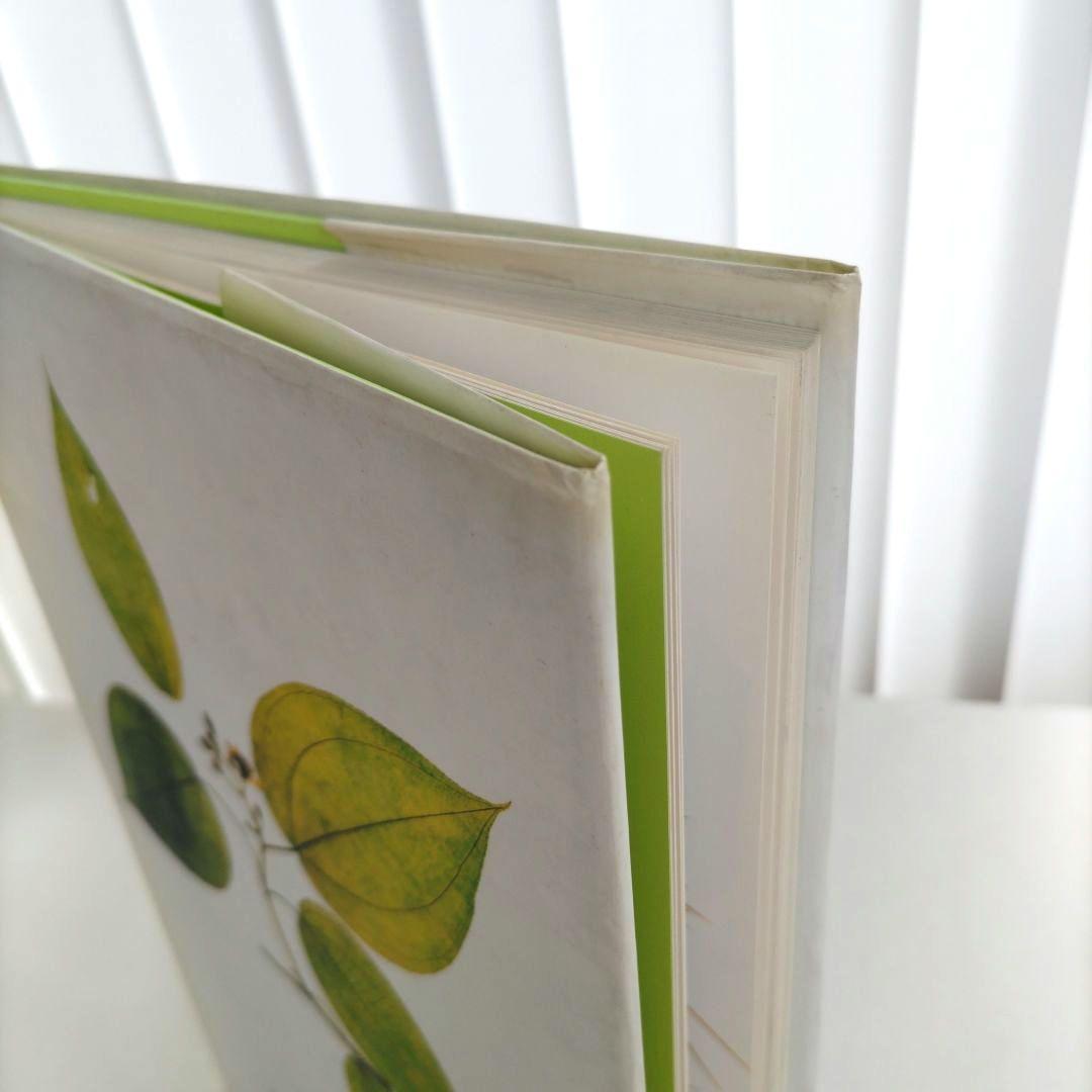 FLORA:Nick Knight/ニック・ナイト 写真集 植物標本 アート