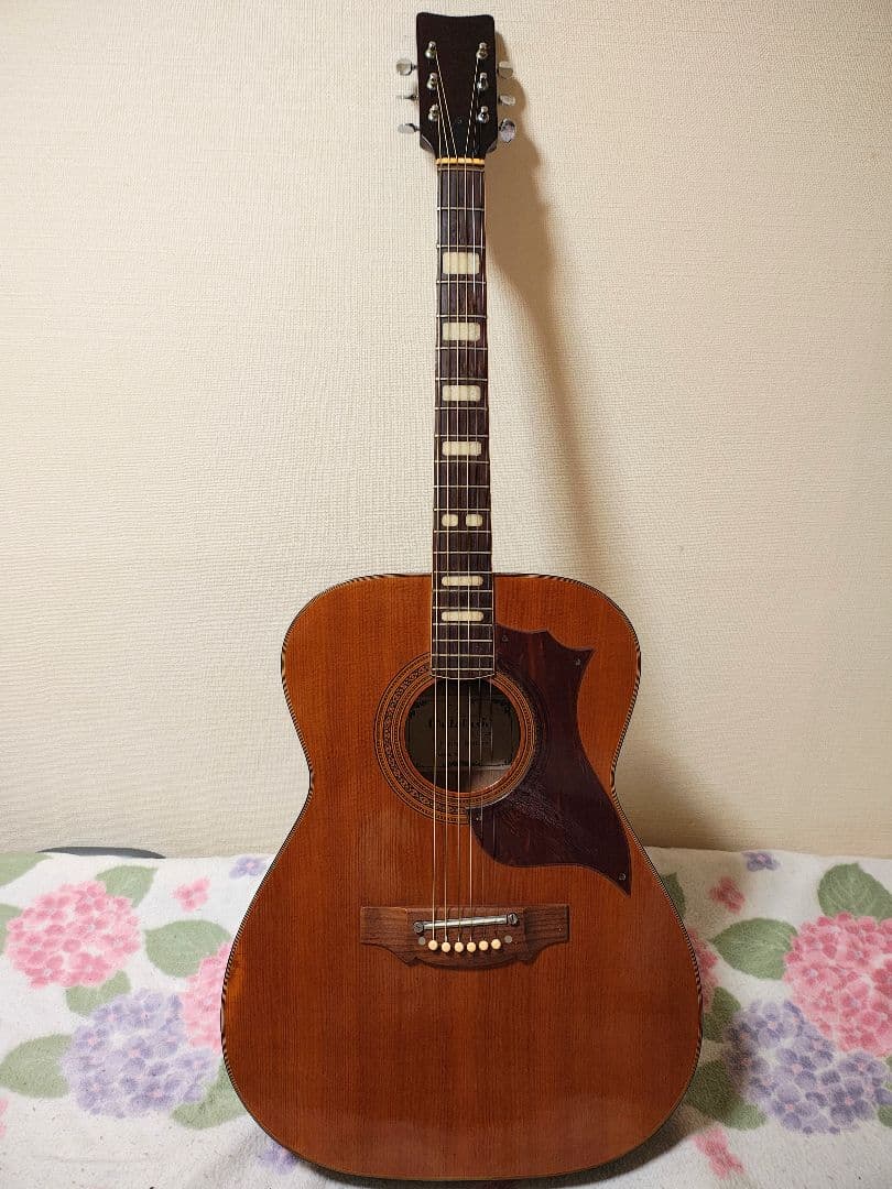 JAPANビンテージCalabash/ハードケース