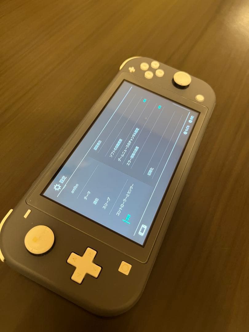 Nintendo Switch Lite グレー 充電器　オマケ付き