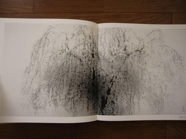 刻 : 田渕俊夫 画集