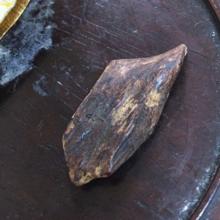 沈香 伽羅 香木 金札 緑油奇楠香