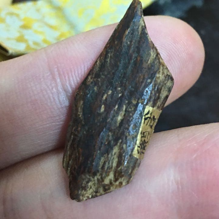 沈香 伽羅 香木 金札 緑油奇楠香