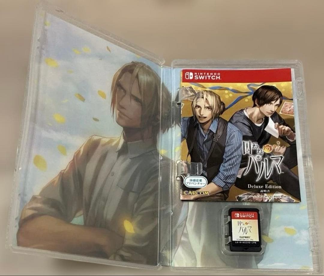 囚われのパルマ デラックス エディション Switch 動作確認済み