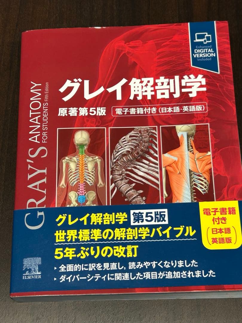 【最新版】グレイ解剖学 第５版 電子書籍未使用