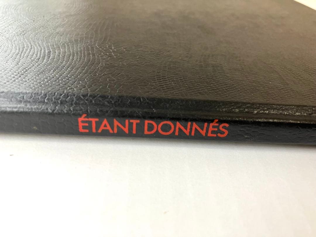 アート・デザイン・音楽 MARCEL DUCHAMP ETANT DONNES