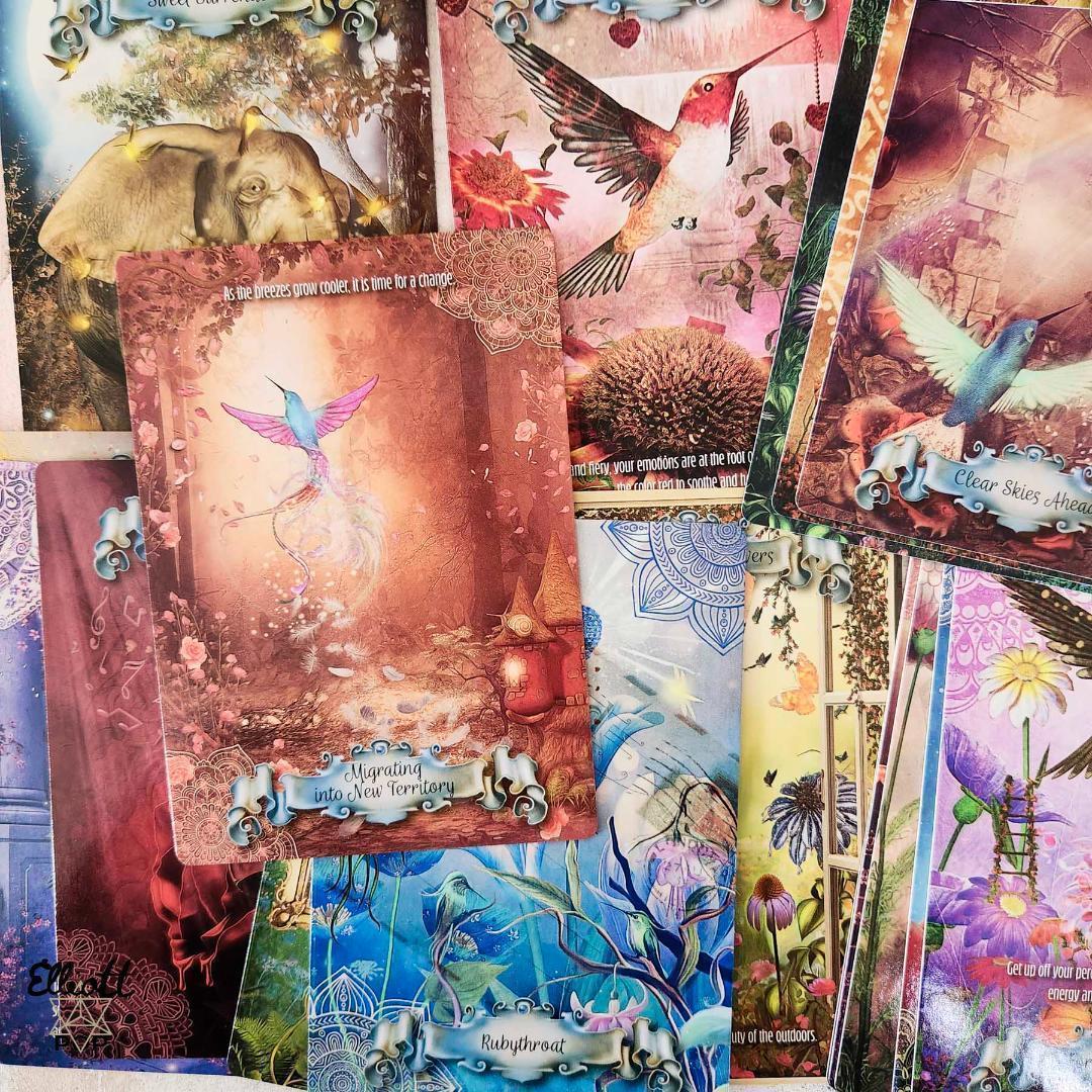 ★正規品オラクルカード★神秘的な世界観✨海外入手困難品✨美しい鳥達のデッキ