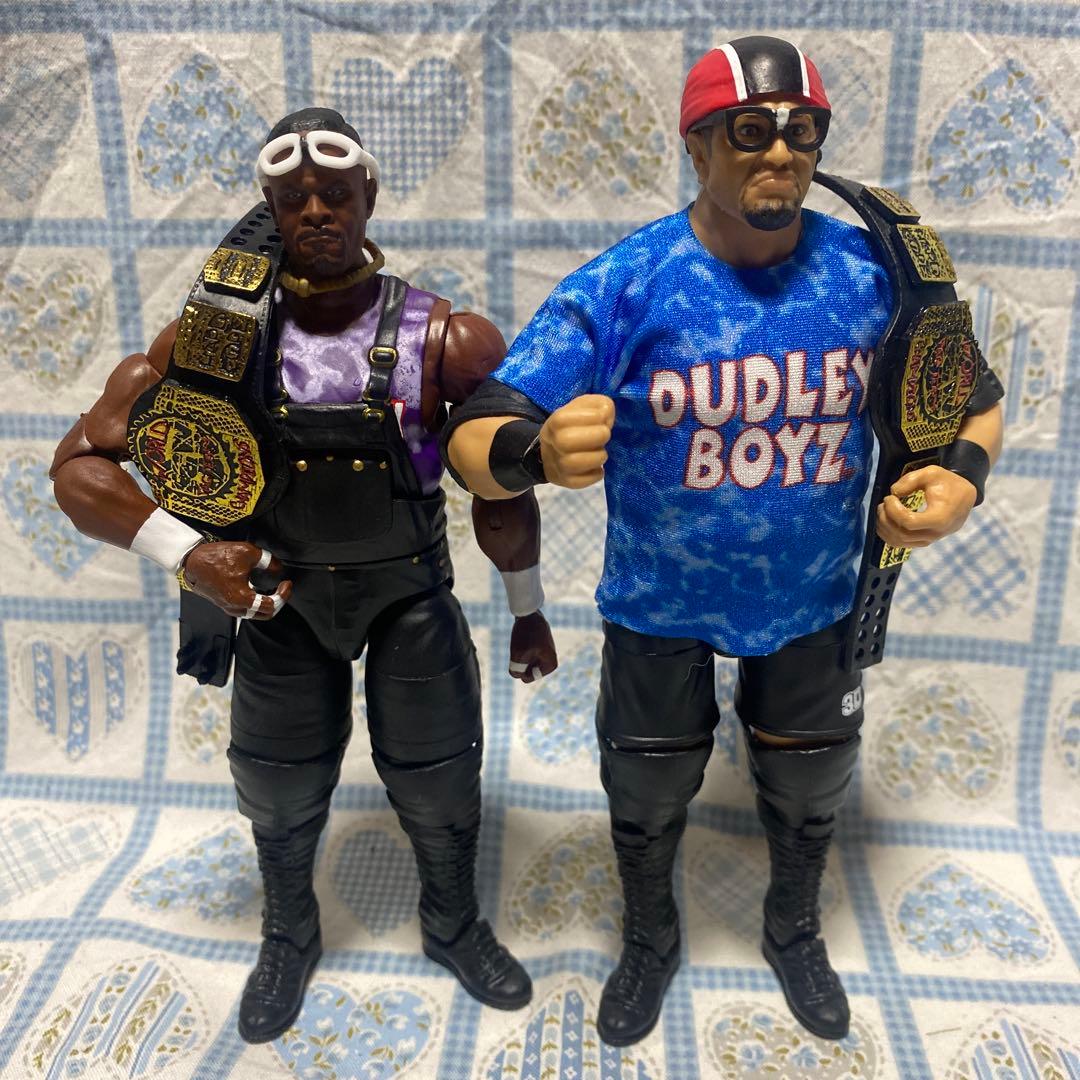 プロレス　WWE フィギュア　ダッドリー・ボーイズ　チーム3D 新日本　全日本
