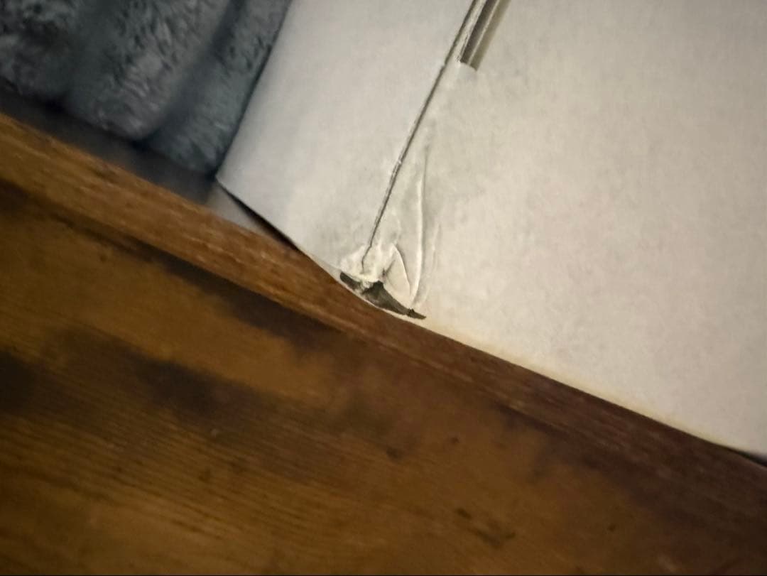 【正規品】ジモモPOPMART ANGEL IN CLOUDS