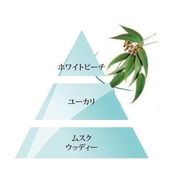 ランプベルジェオイル・ユーカリ3本・正規品