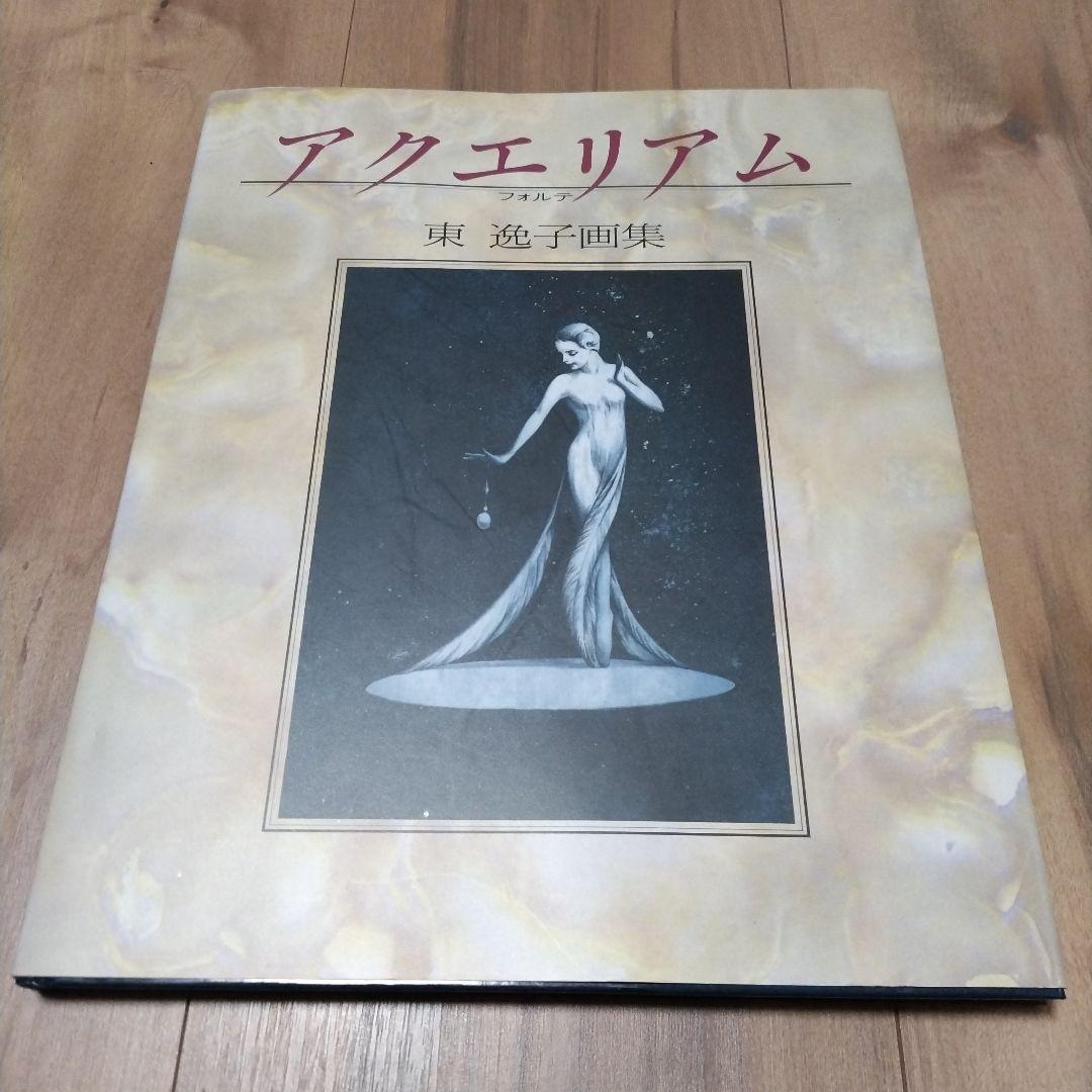アクエリアム 東逸子 画集