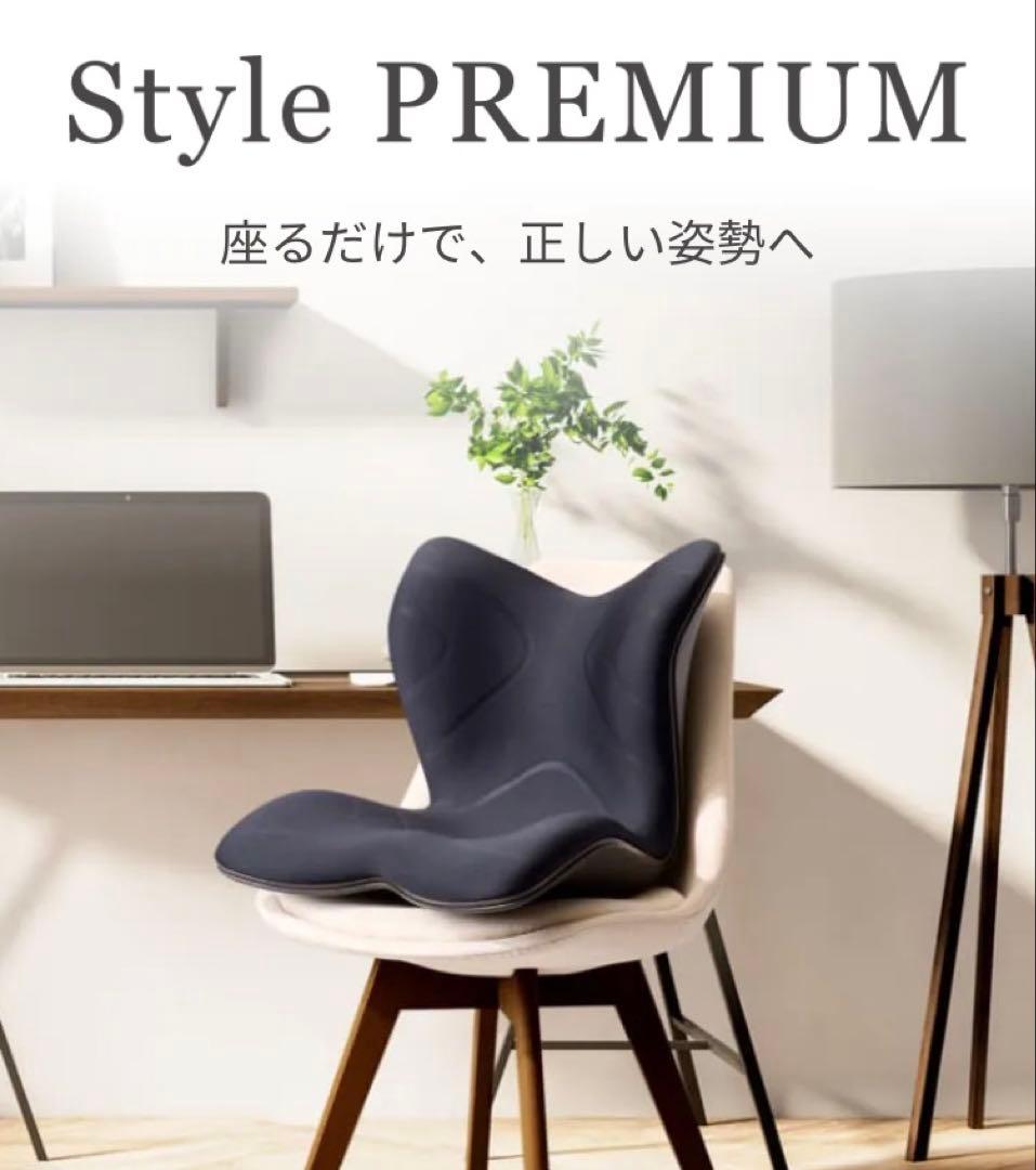 MTG 骨盤矯正クッション 黒　スタイルプレミアム